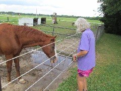 Judy Geisler; horse; Crazy Horse Campground, WI